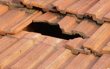 roof repair Wester Housebyres, Scottish Borders